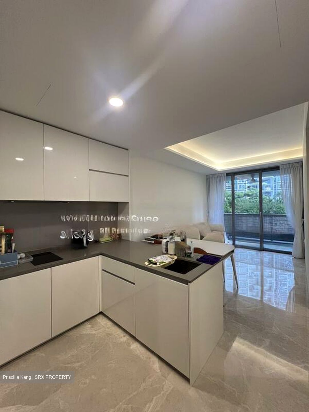 Amber Park (D15), Condominium #486302851